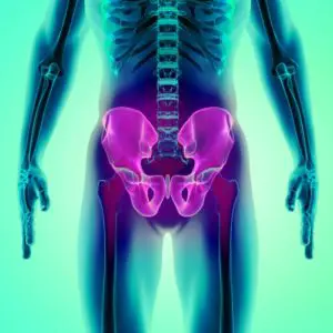 Sharon-hip-skeleton-picture-210666-2-300x300