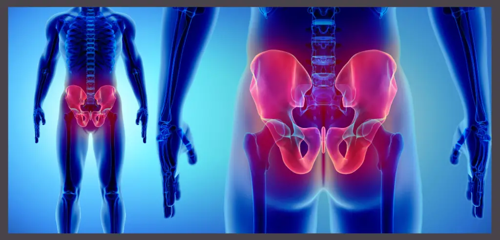 HIP PAIN EXPLAINED